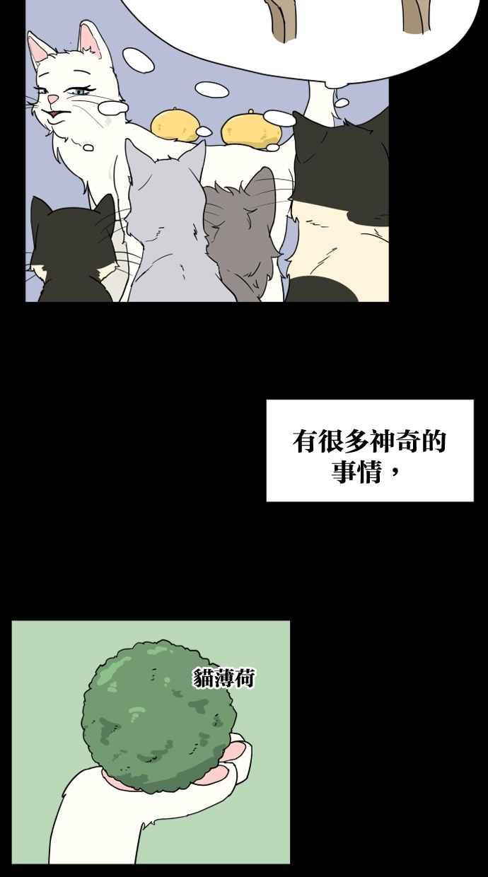 《只属于我的主人》[第9话] 喵星的故事 第12页