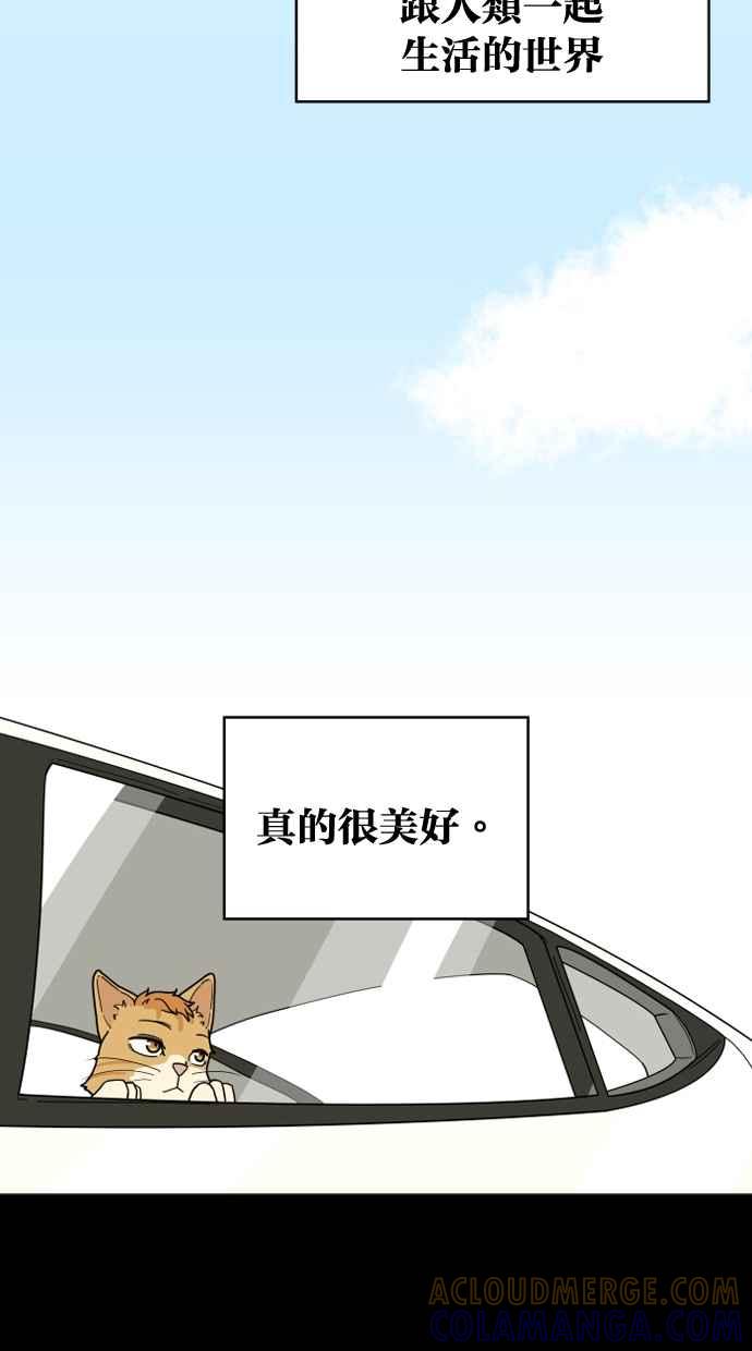 《只属于我的主人》[第9话] 喵星的故事 第52页
