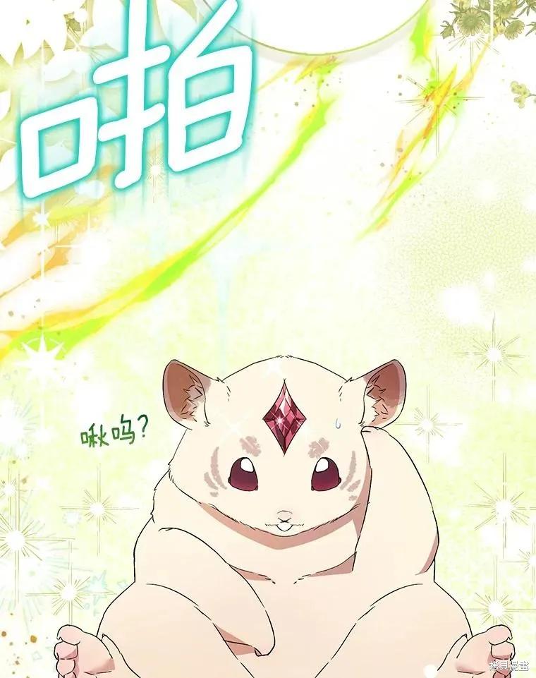 作为假圣女，却被众人迷恋？ 第86话 第127页