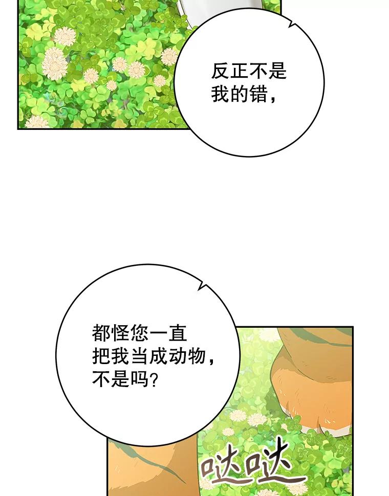 只需轻握我的手 27.梅尔 第12页