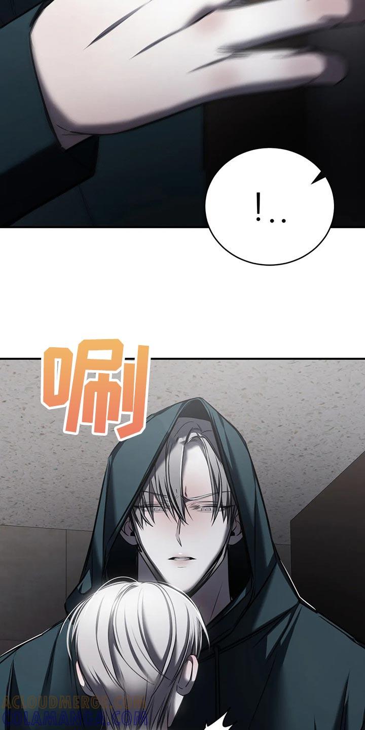 《暴动的追随》第29章：跟你没有任何关系 第11页