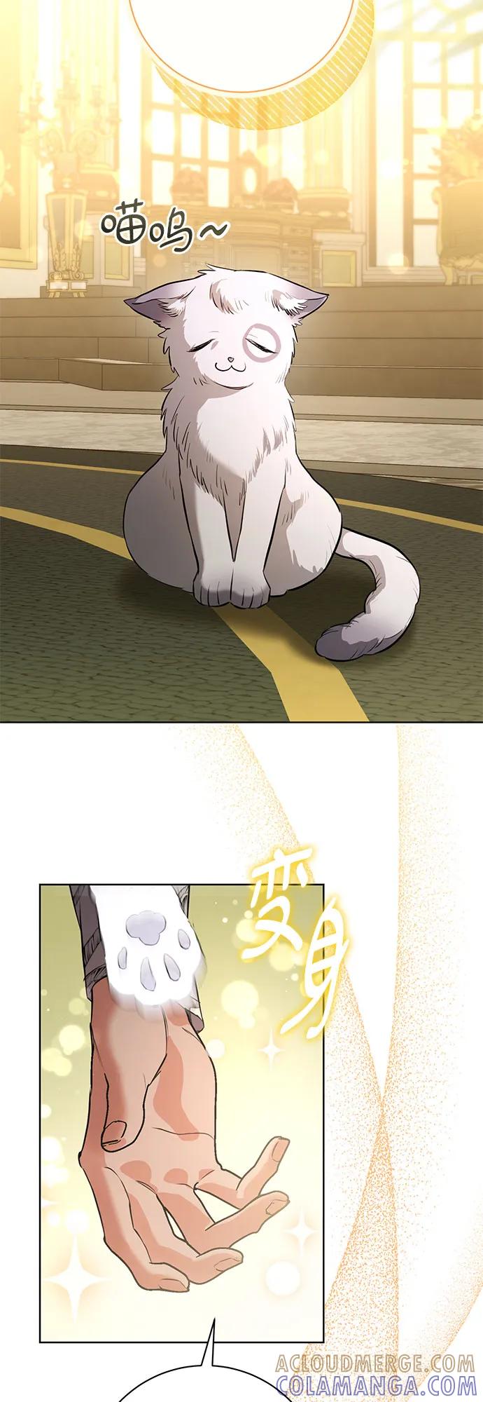 致我丈夫的情人 - 第85话 - 第4张图