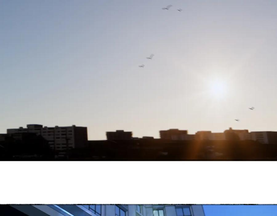 阳生小雪 - 103离别是为了更好的相遇（上） - 第3张图