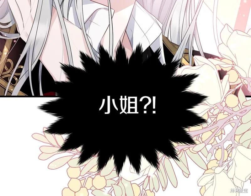 《明明是冷美人小姐却变成了忠犬大少爷》第74话 第146页
