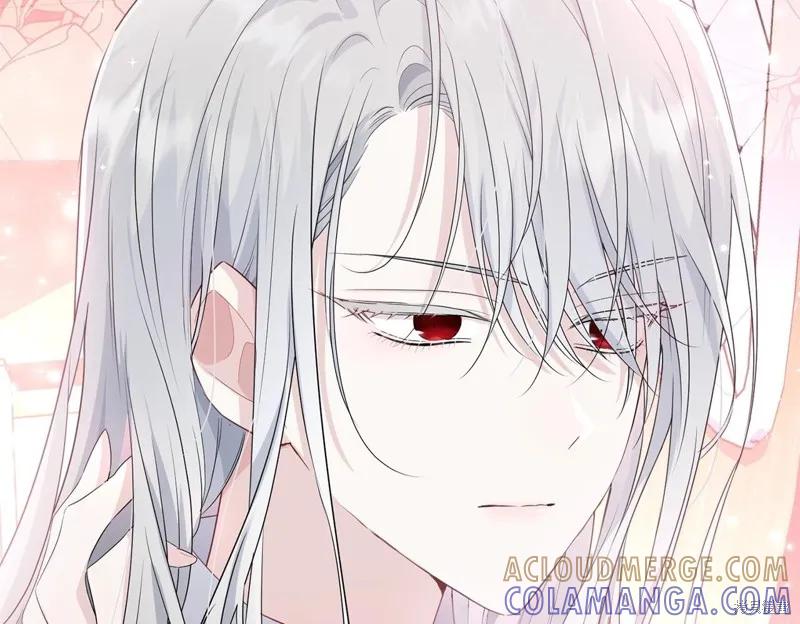《明明是冷美人小姐却变成了忠犬大少爷》第74话 第145页