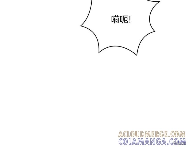 《明明是冷美人小姐却变成了忠犬大少爷》第75话 第169页