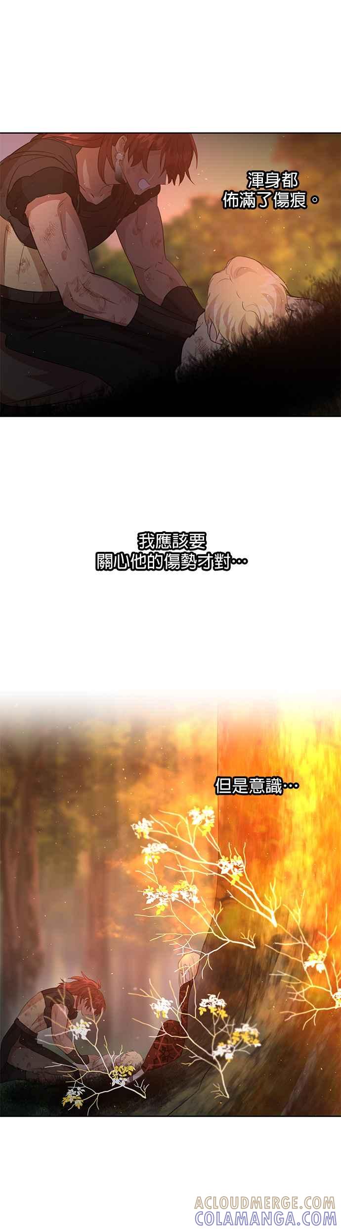 《金色森林》第88话 第19页