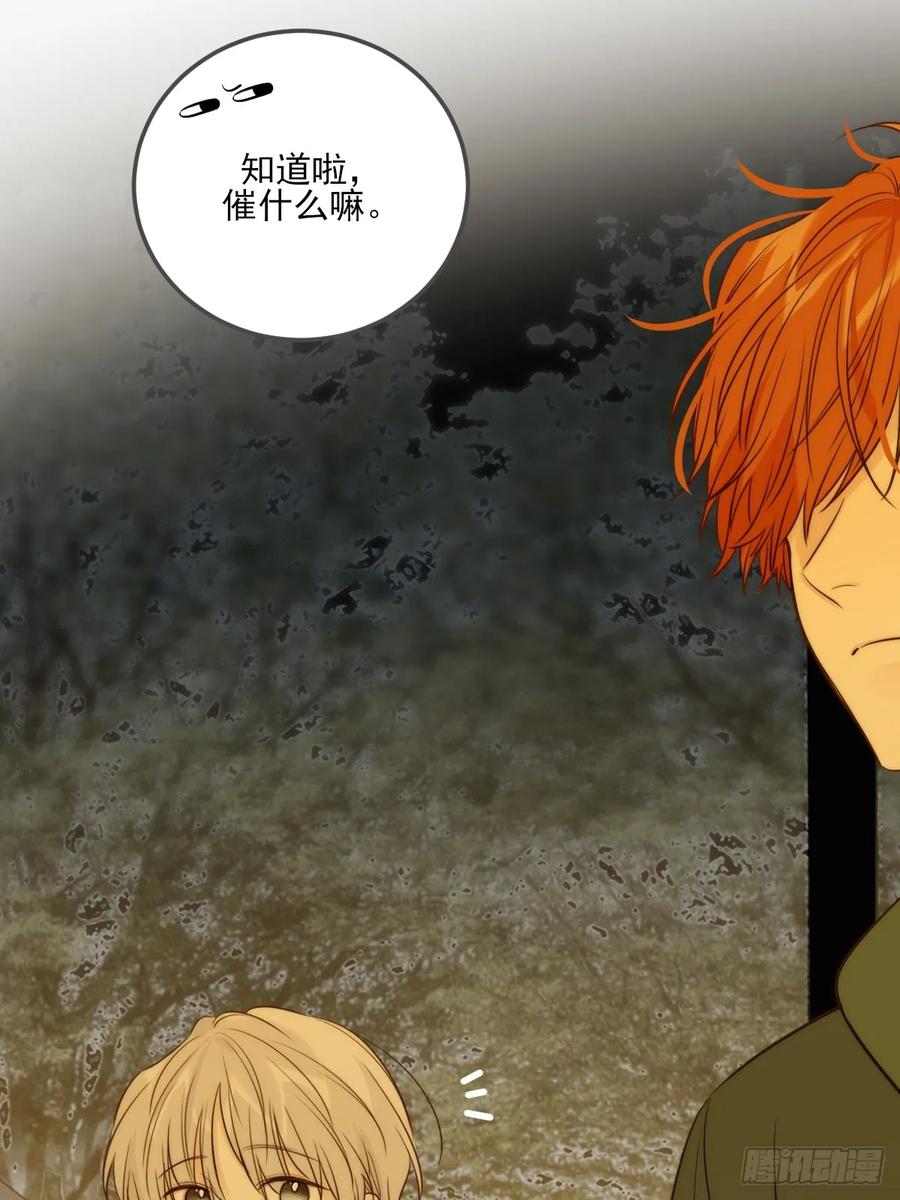 《只有尾巴不可以！》夜幕烟火 第18页