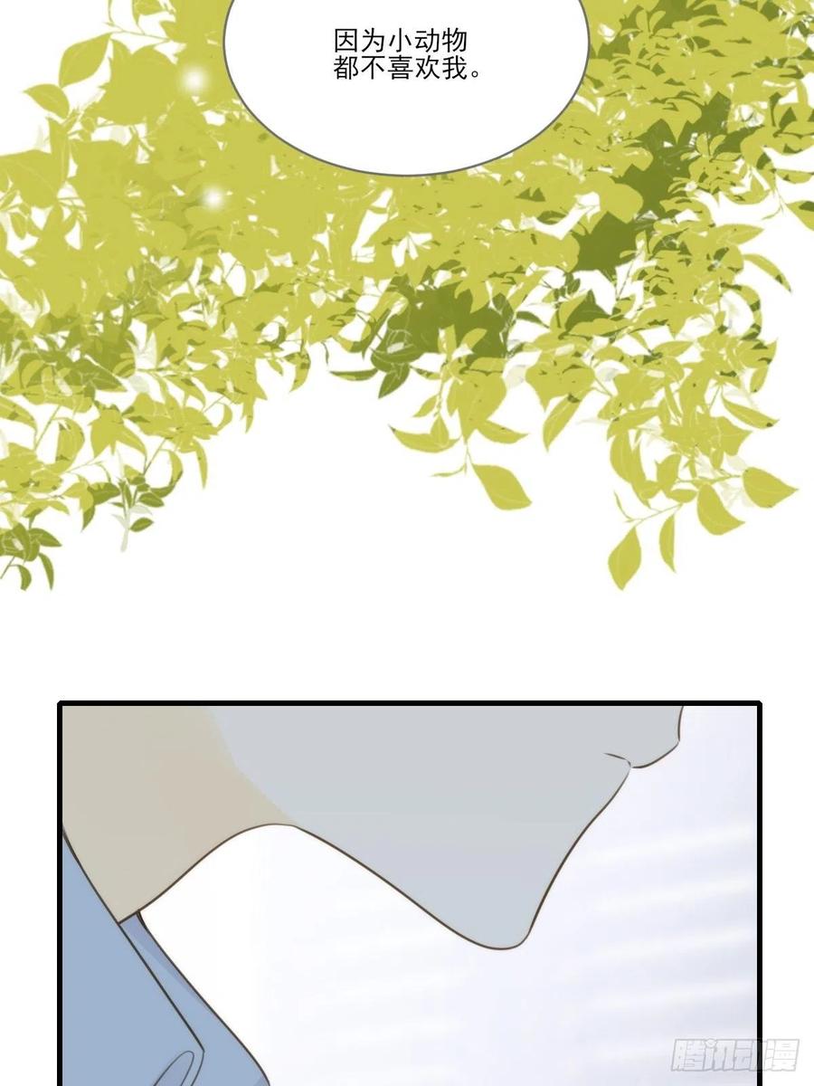 《只有尾巴不可以！》被治愈的心 第45页