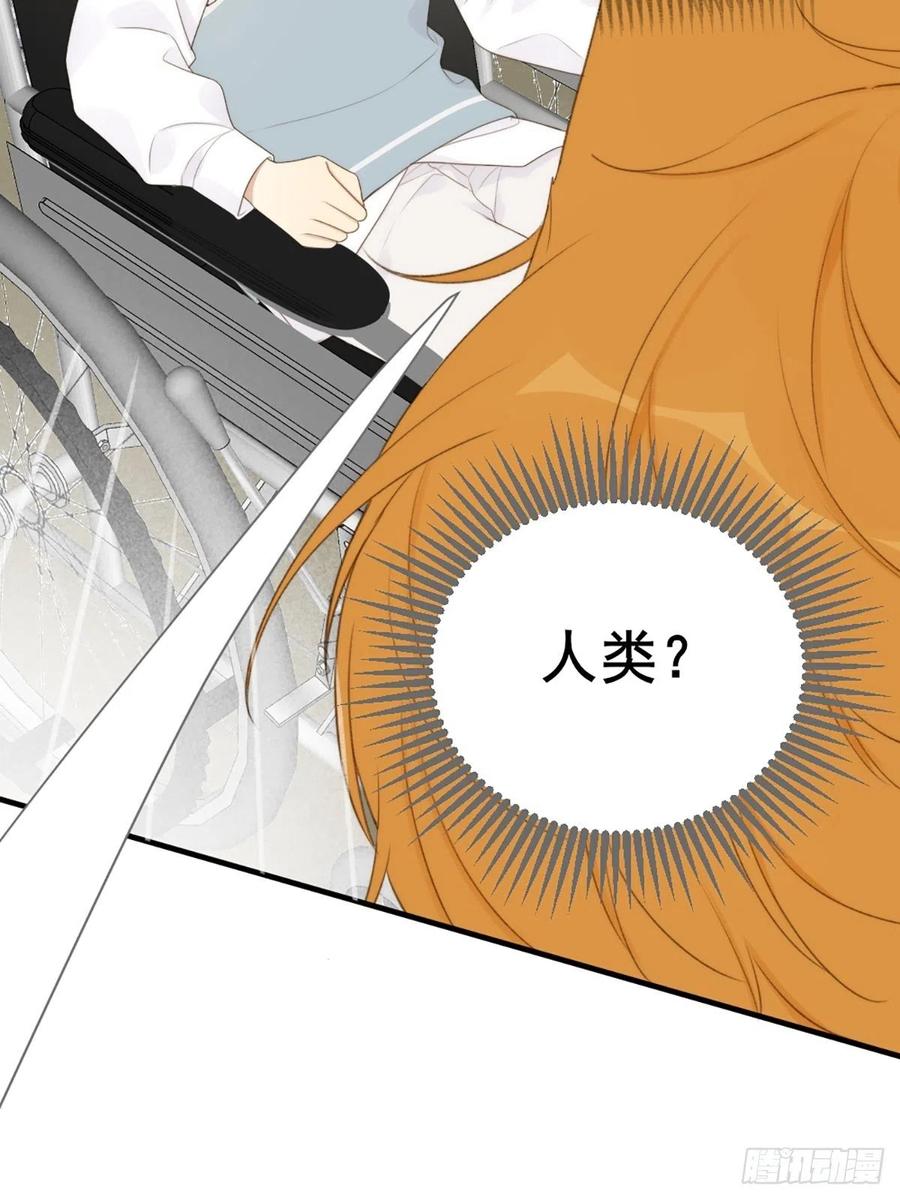 《只有尾巴不可以！》命运般地相遇了 第102页