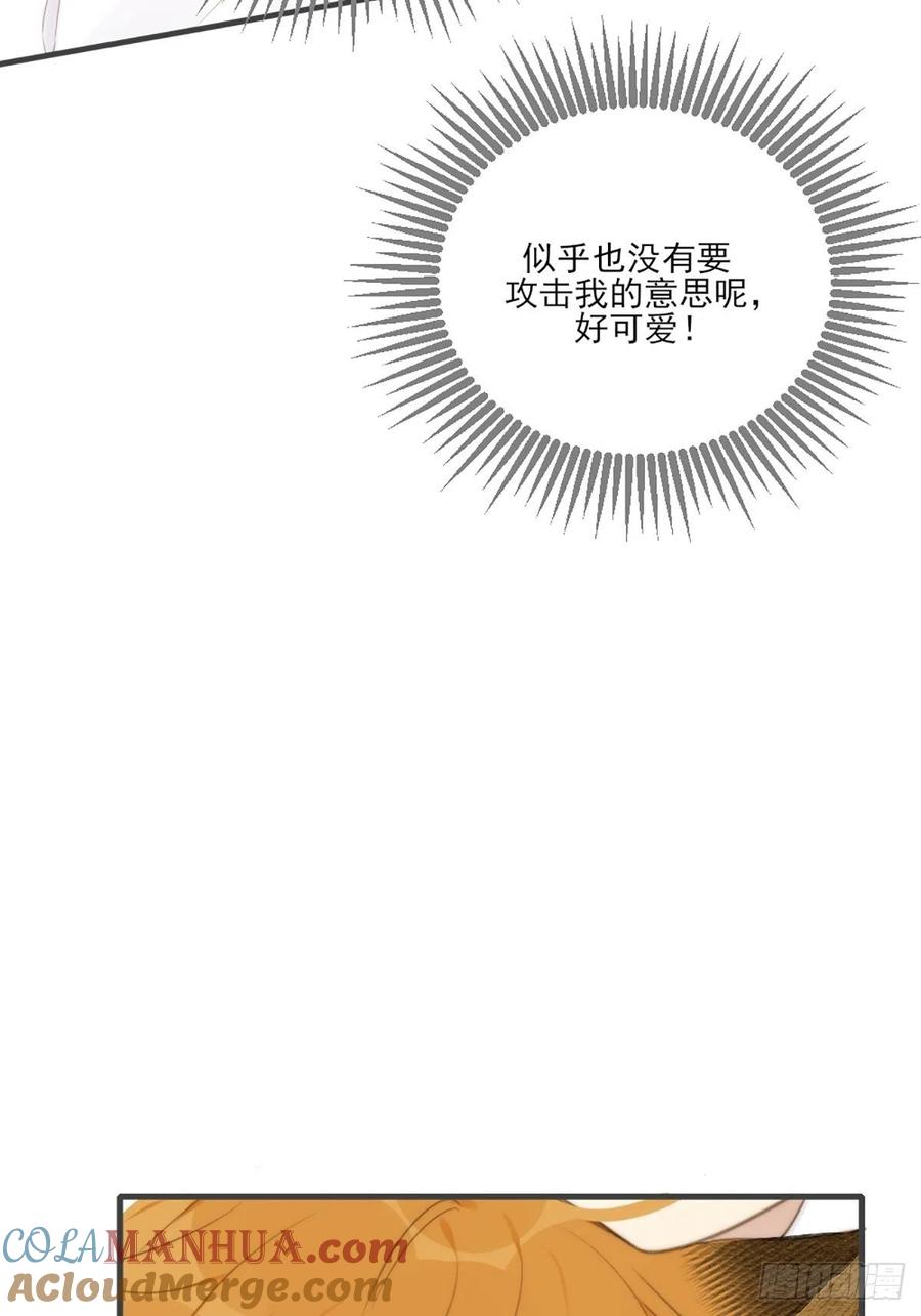 《只有尾巴不可以！》命运般地相遇了 第153页