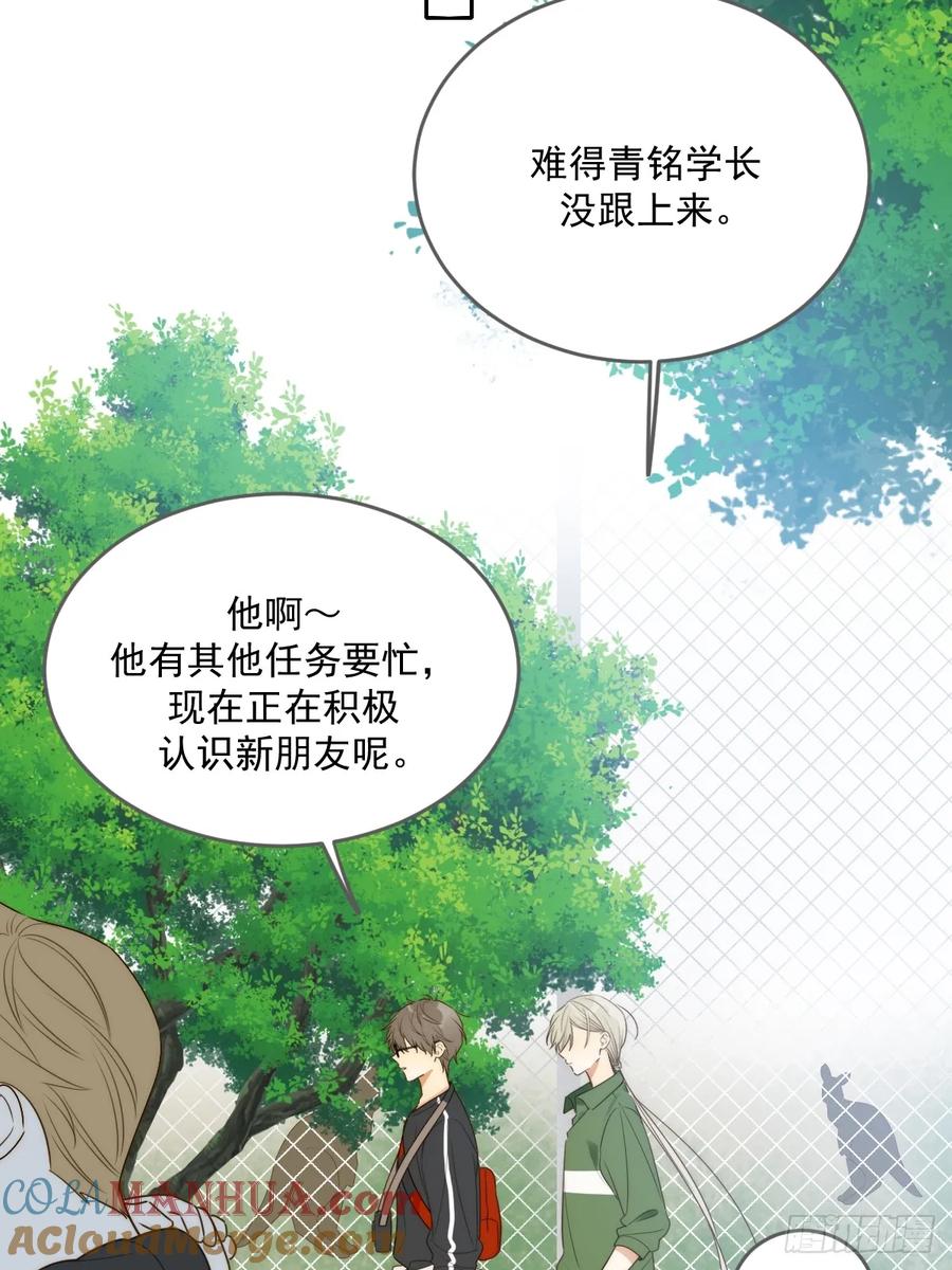 《只有尾巴不可以！》被遗忘的时光 第43页