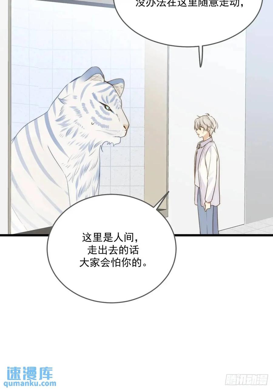 《只有尾巴不可以！》互相帮助 第20页