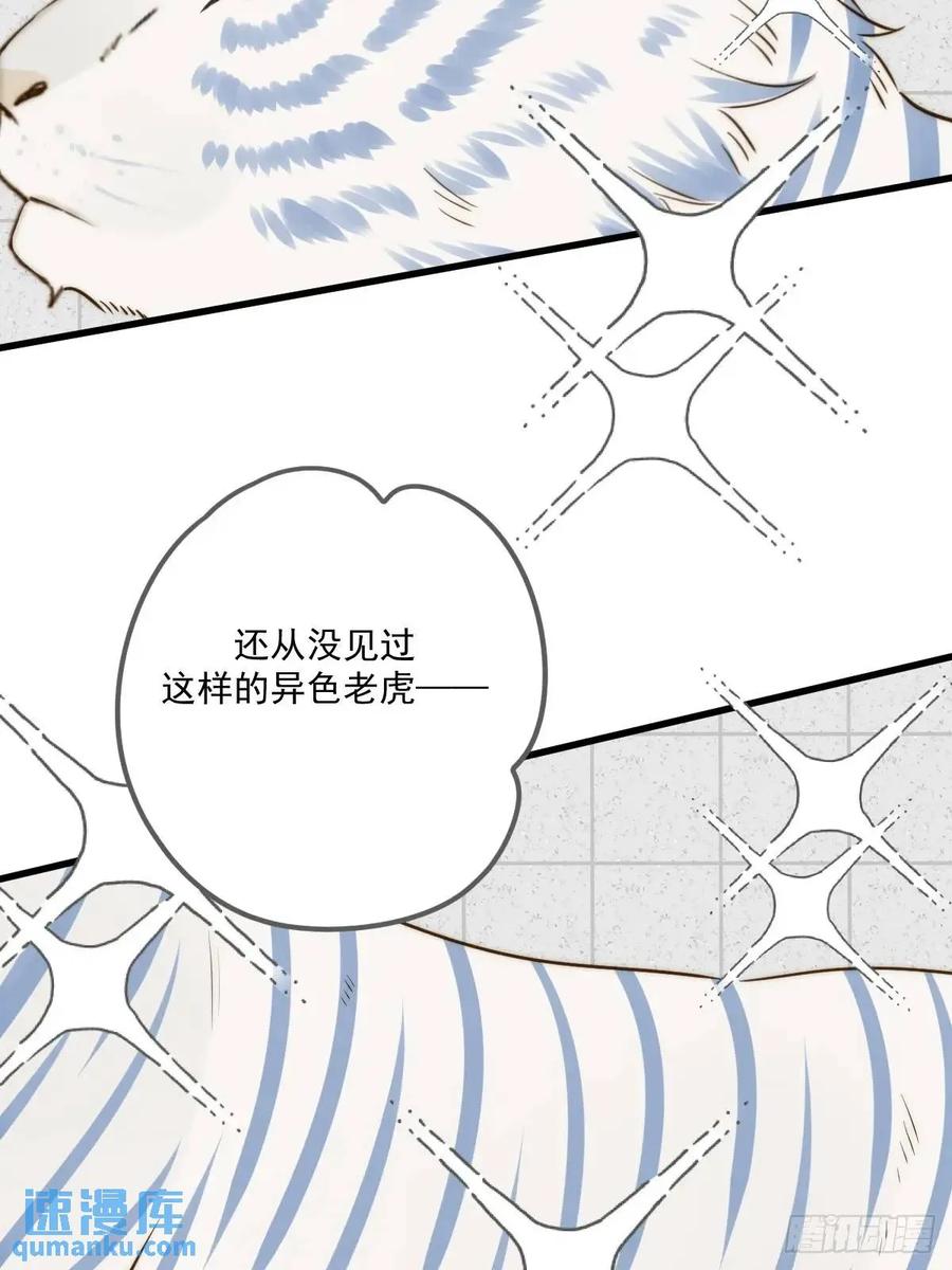 《只有尾巴不可以！》互相帮助 第12页