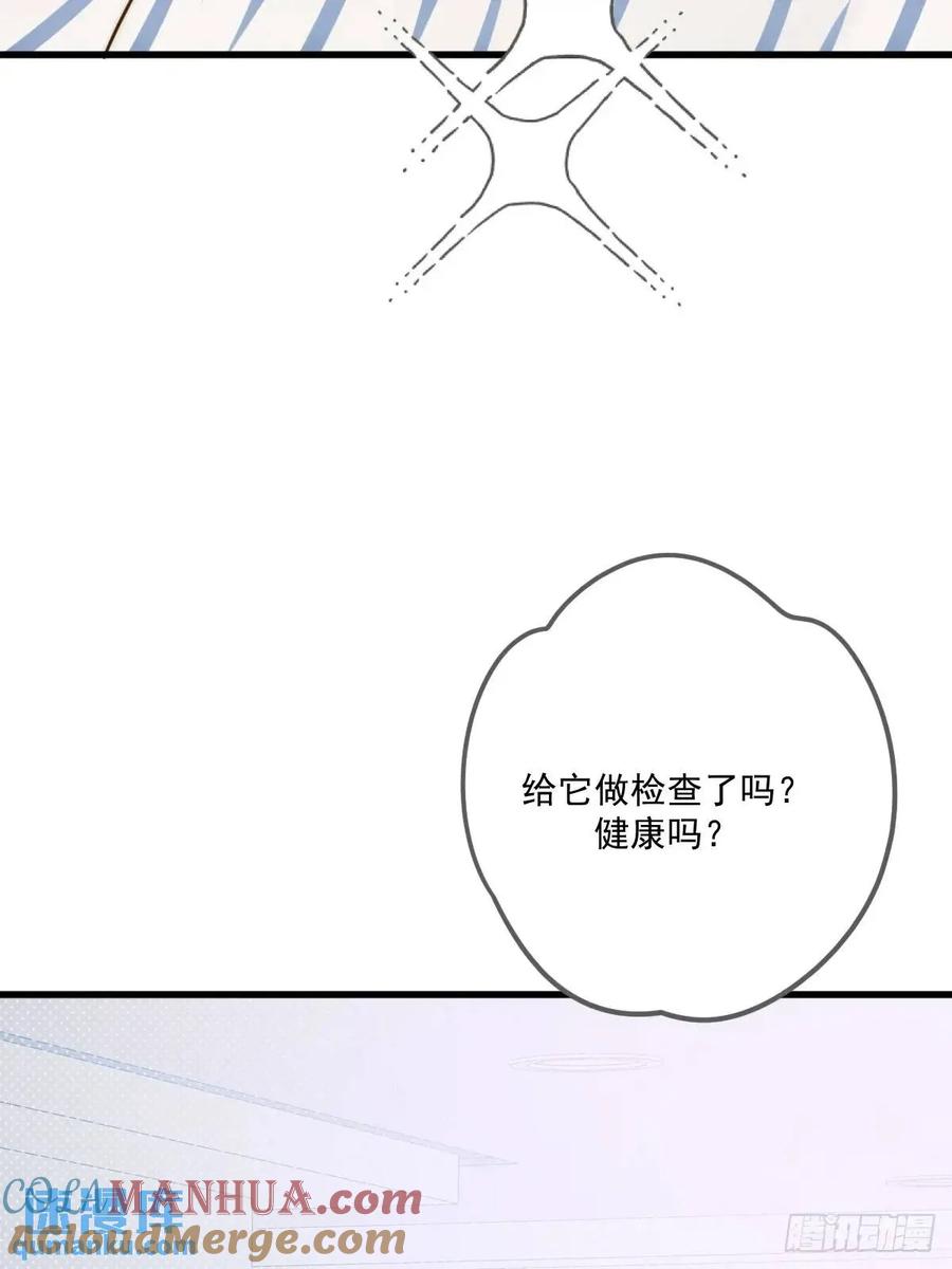 《只有尾巴不可以！》互相帮助 第13页