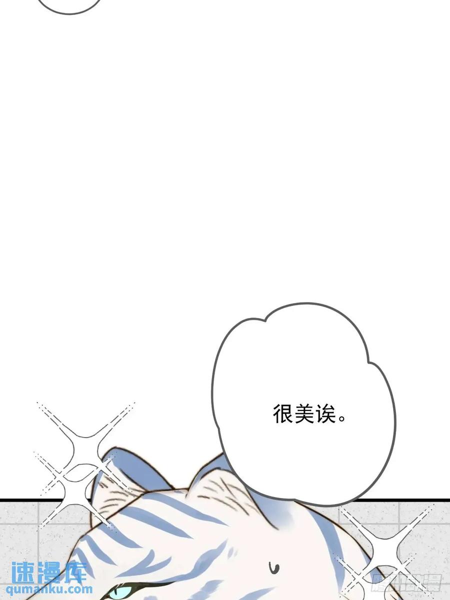《只有尾巴不可以！》互相帮助 第11页