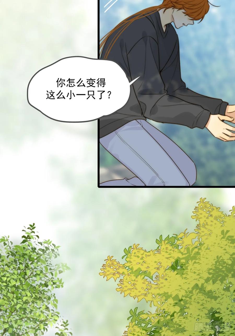 《只有尾巴不可以！》师徒再见 第39页