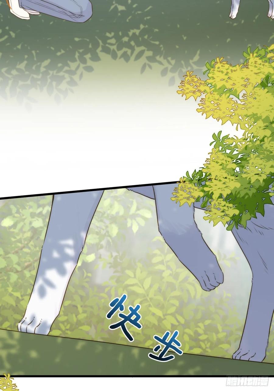 《只有尾巴不可以！》师徒再见 第41页