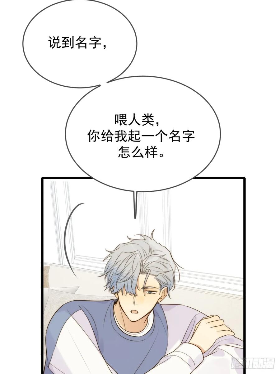 《只有尾巴不可以！》师徒再见 第15页