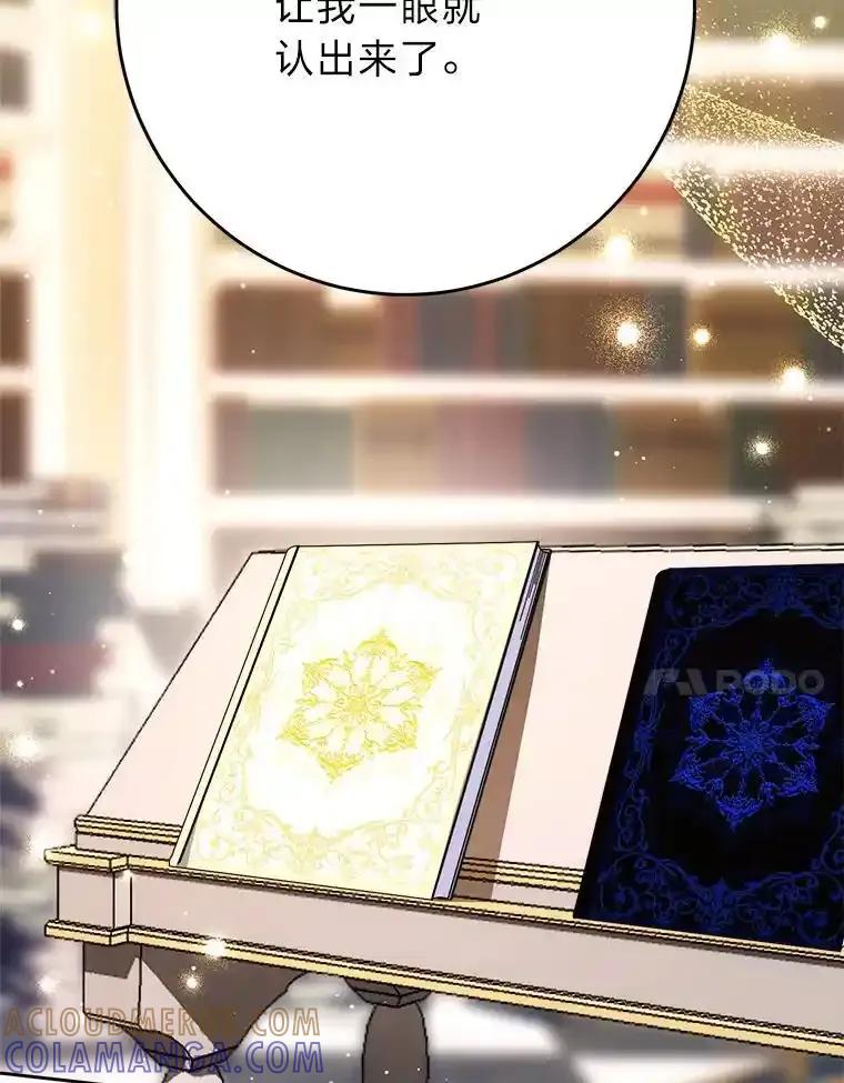 《这次要好好养妹妹》72.胡来的大魔法师 第17页
