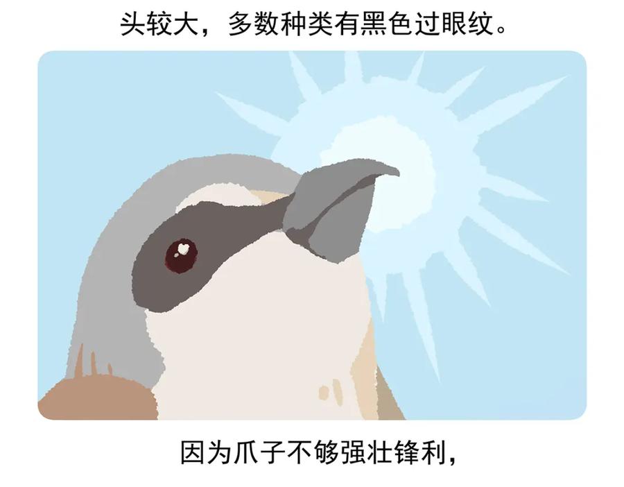 《胖达x胖达》第53话 第32页