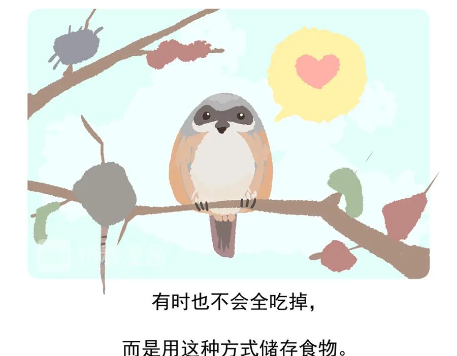 《胖达x胖达》第53话 第34页