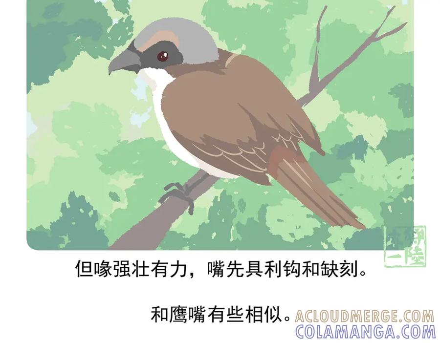 《胖达x胖达》第53话 第31页