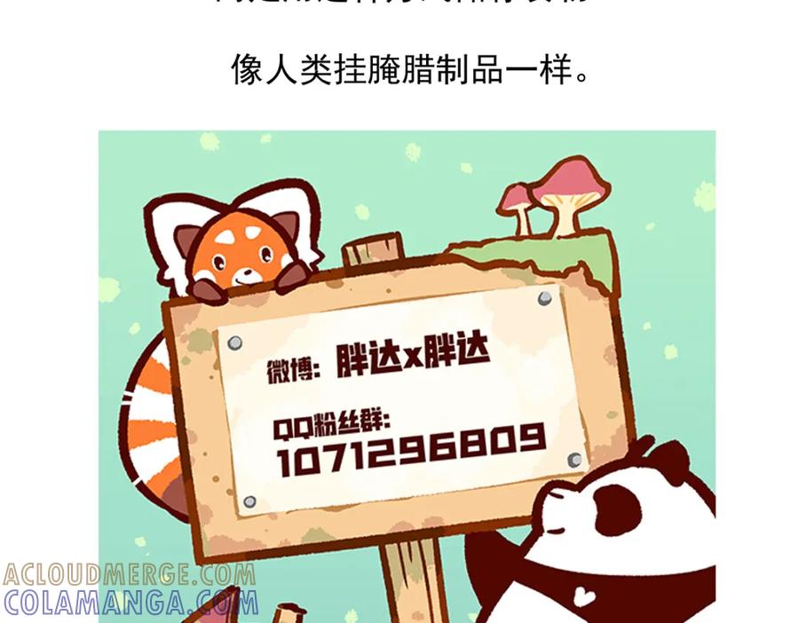 《胖达x胖达》第53话 第35页