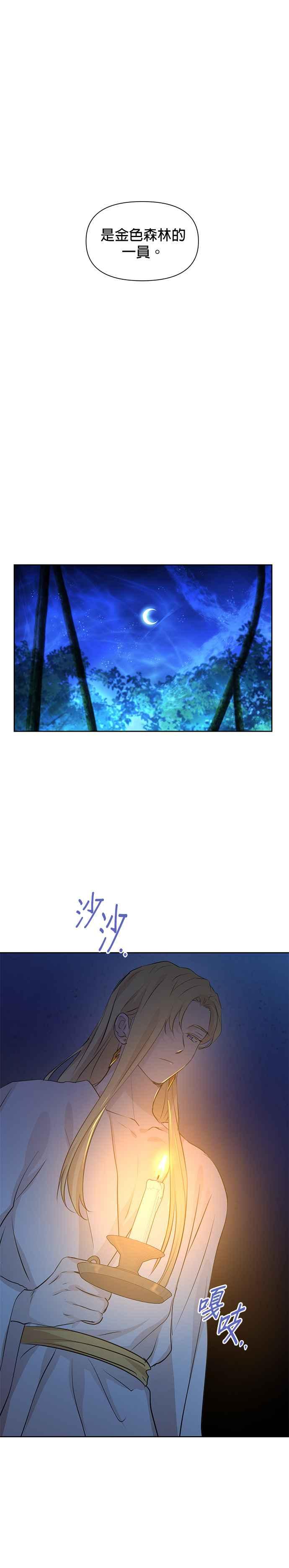 《金色森林》第37话 第6页