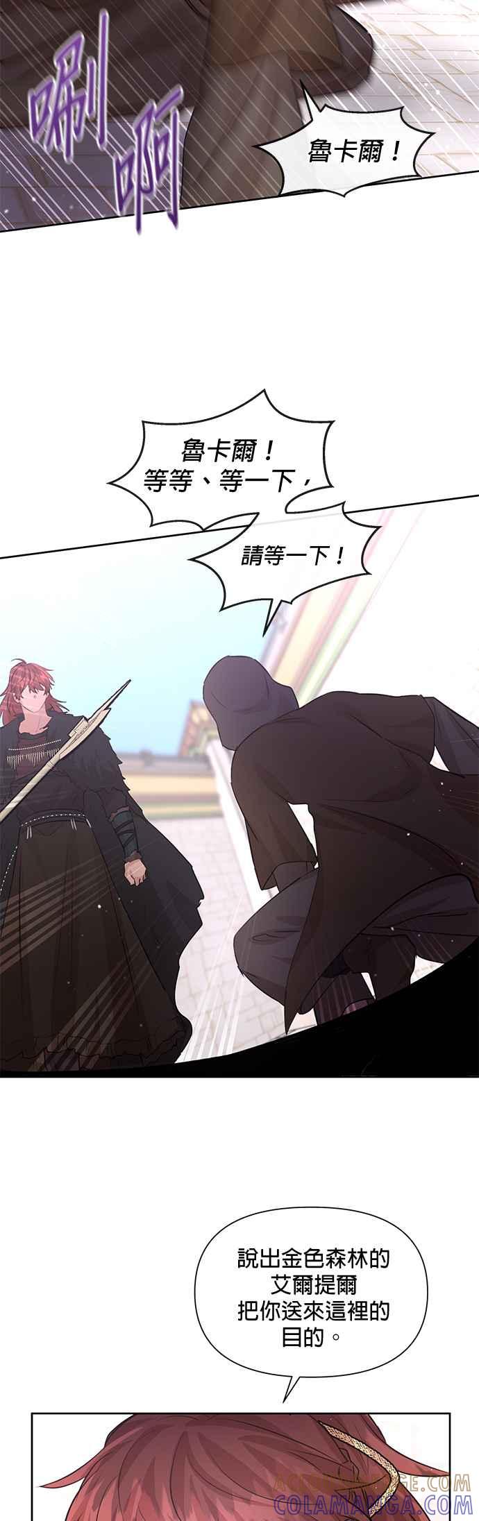 《金色森林》第48话 第11页