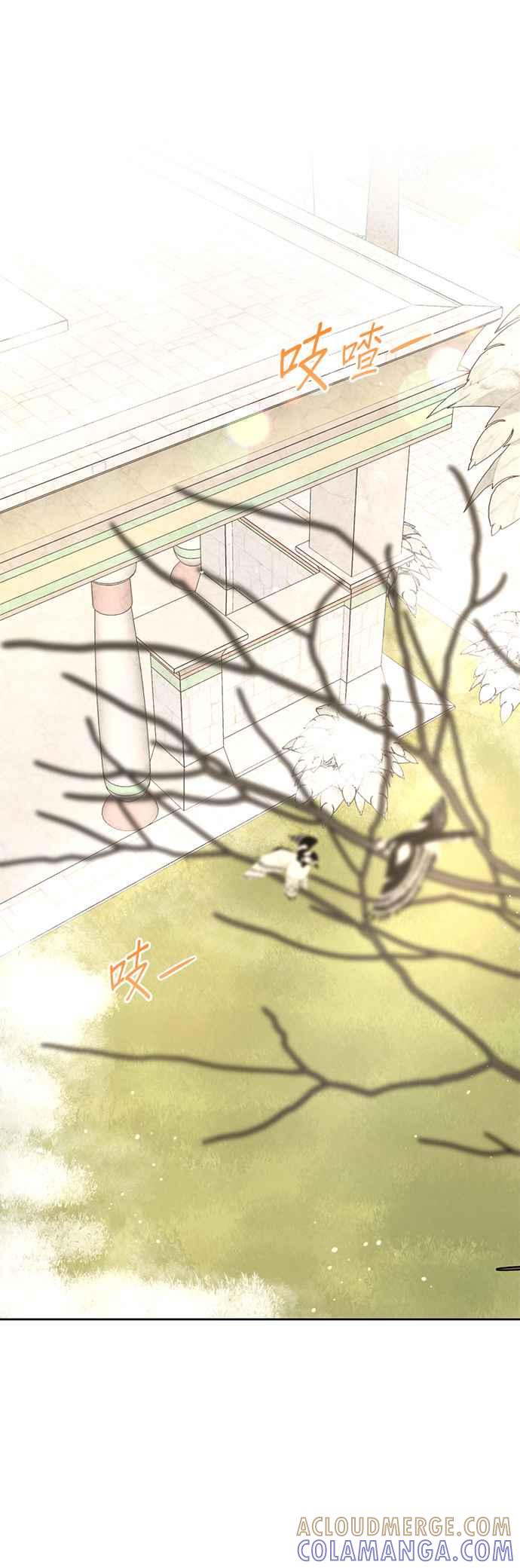 《金色森林》第56话 第15页