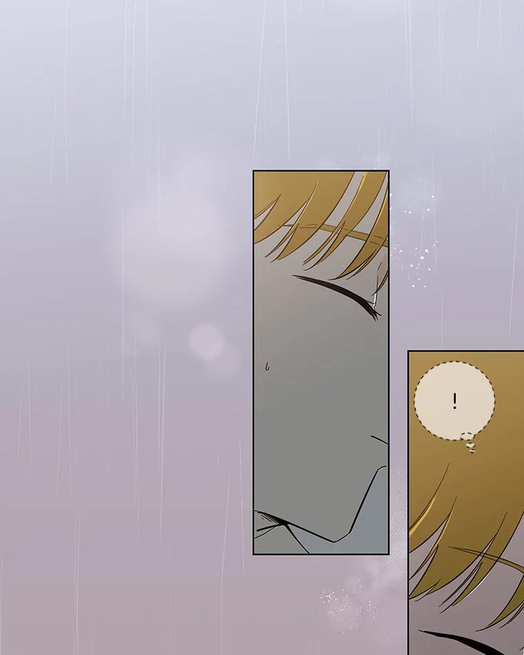 《追逐光的爱恋》64.赴约 第3页