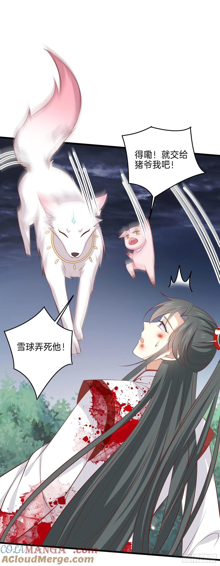 《至尊瞳术师：绝世大小姐》第二百三十五话 相遇 第29页