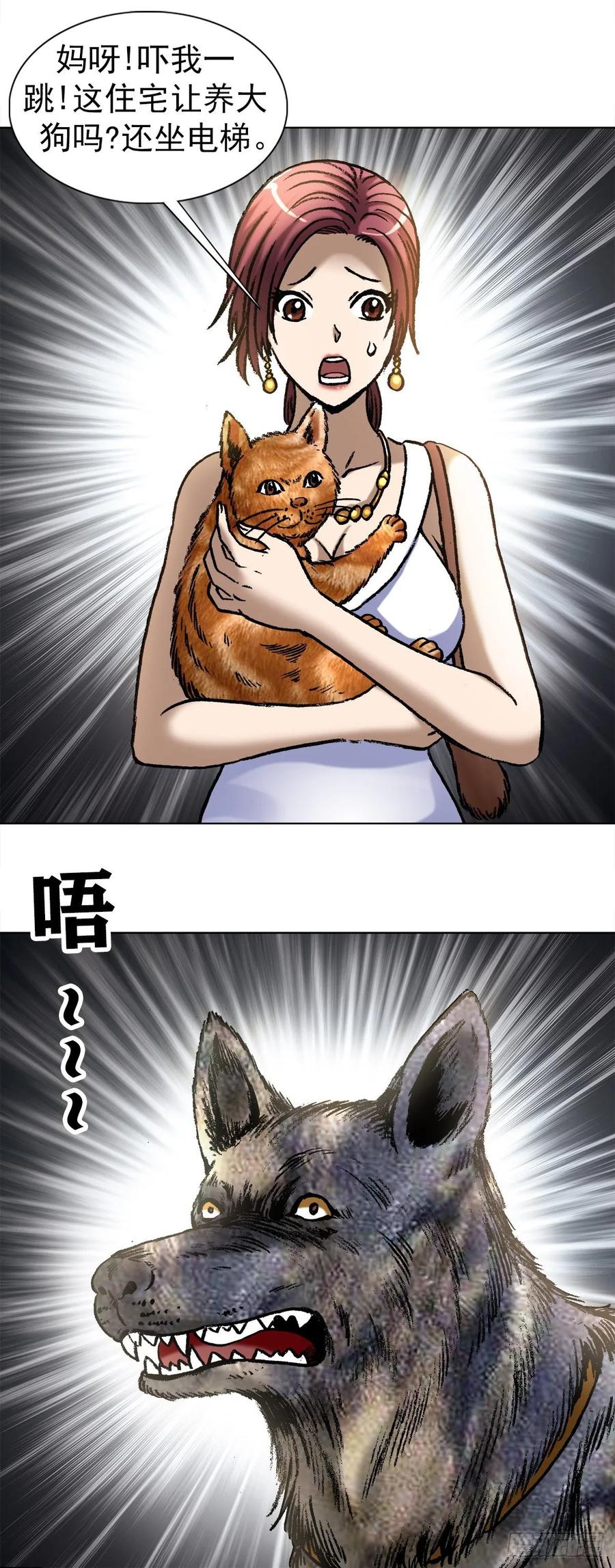 中国惊奇先生（神鬼七杀令） 1019 猫 第12页