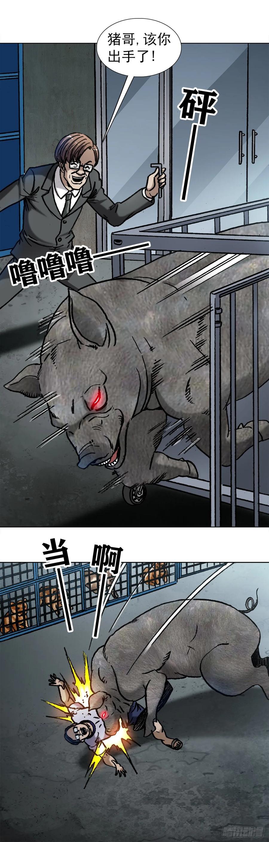 中国惊奇先生（神鬼七杀令） 1030 大黑猪 第6页