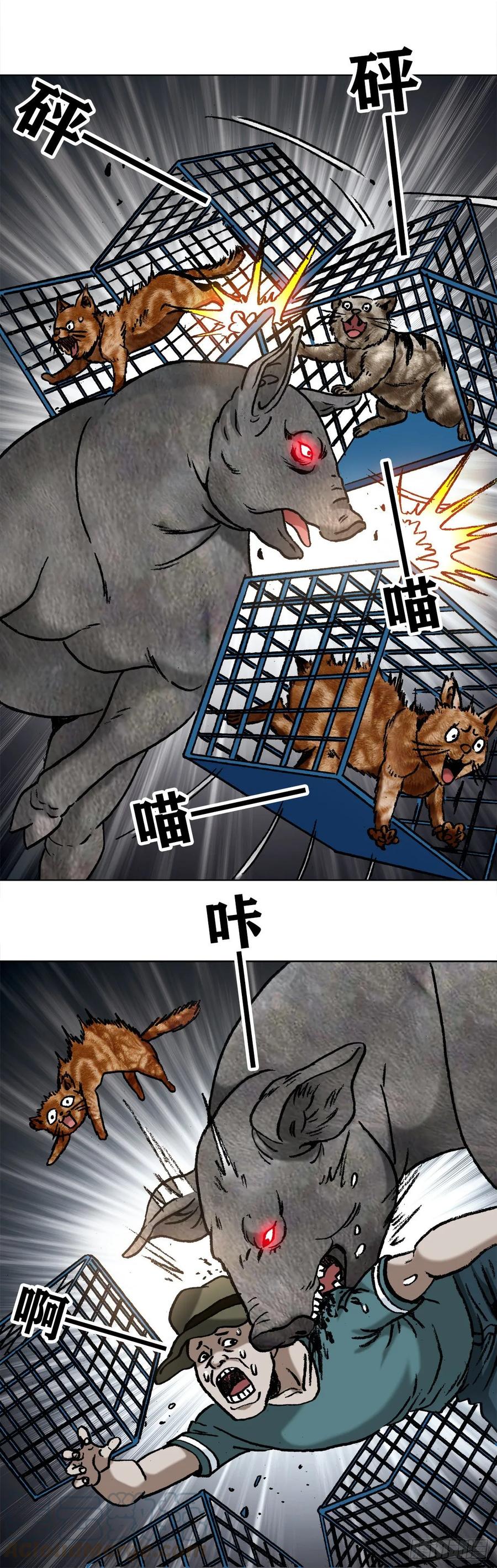 中国惊奇先生（神鬼七杀令） 1030 大黑猪 第7页