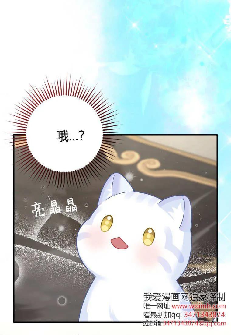 《黑豹家族的雪豹宝宝》第22话 第30页
