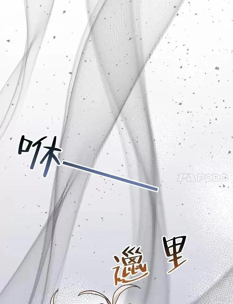 《王女在装疯卖傻》第65话 第14页