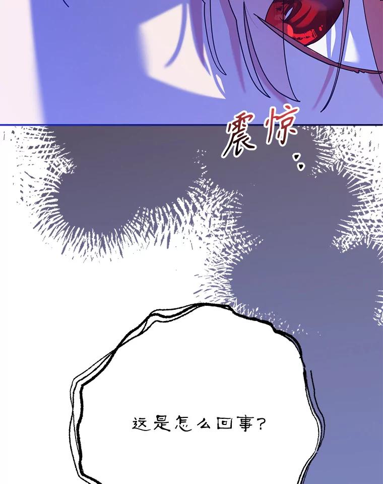 《终极魔头的宝贝女儿》101.天火焚曦 第14页