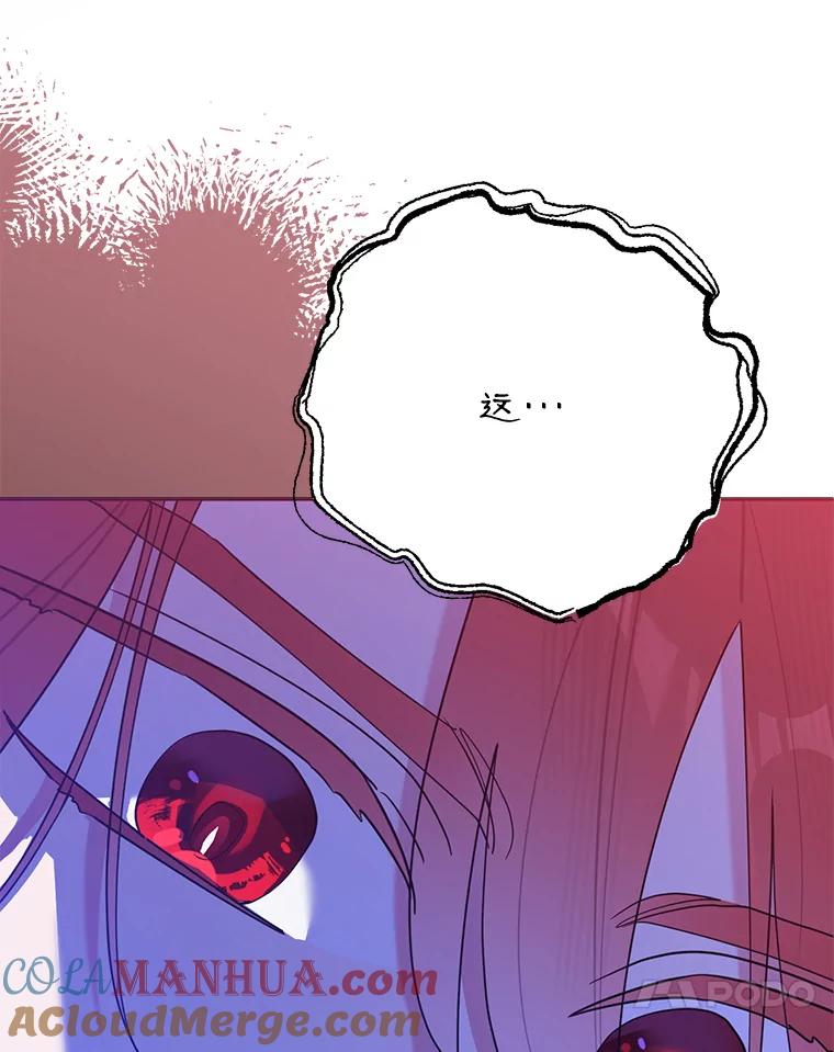 《终极魔头的宝贝女儿》101.天火焚曦 第13页