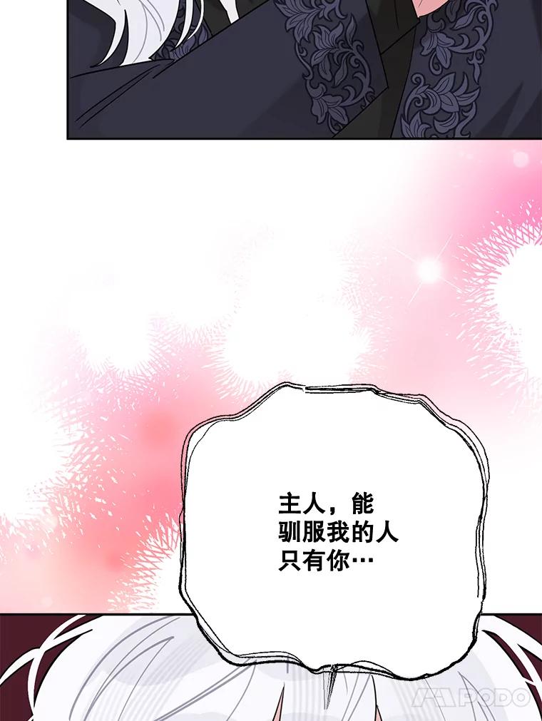 《终极魔头的宝贝女儿》109.重振旗鼓 第52页