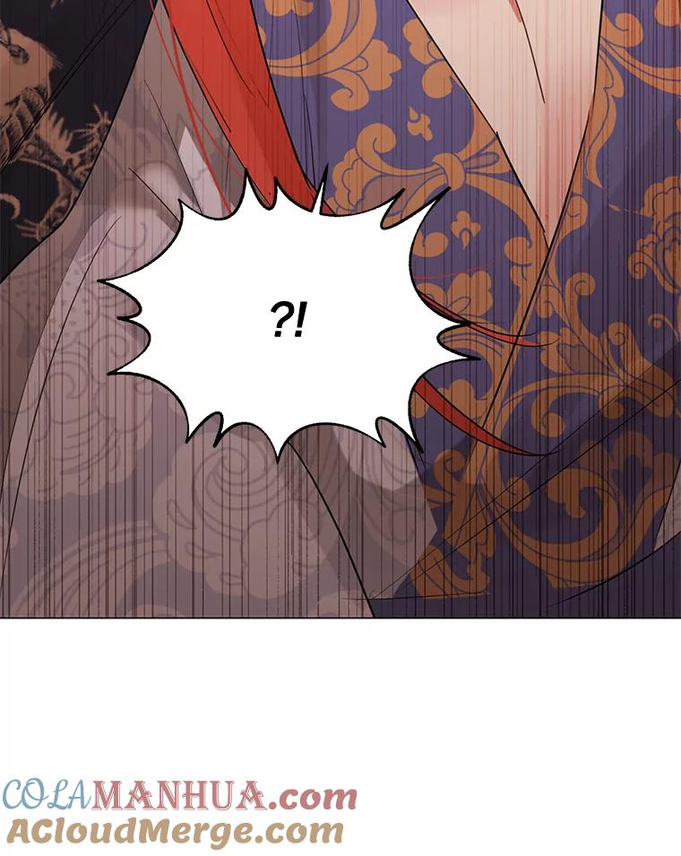 《终极魔头的宝贝女儿》25.调查团黑化 第82页