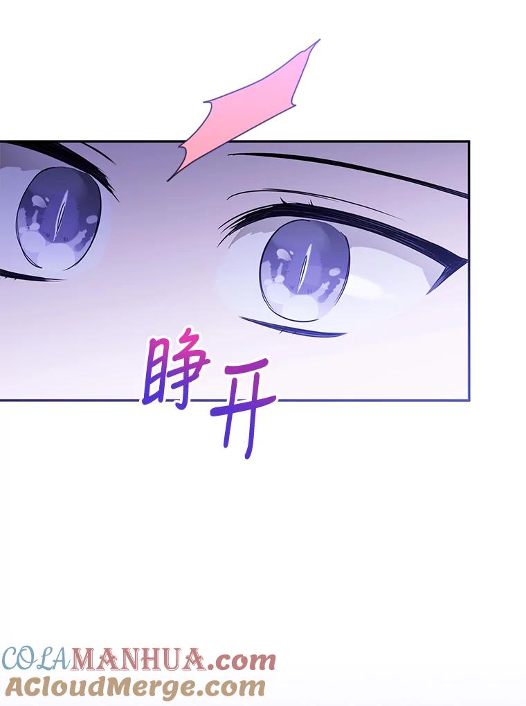 《终极魔头的宝贝女儿》42.诸葛玄清醒 第101页