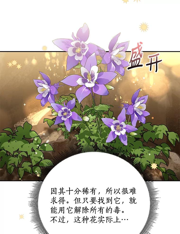《终极魔头的宝贝女儿》62.去找解药 第3页