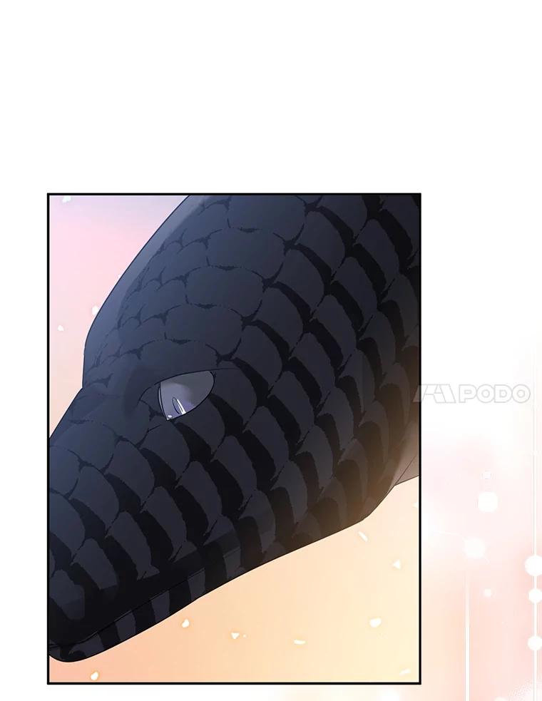 《终极魔头的宝贝女儿》93.过度的关心 第96页