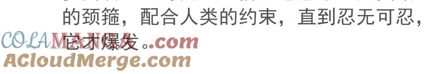 从精神病院走出的强者 318 对防着他！他不清白！ 第13页