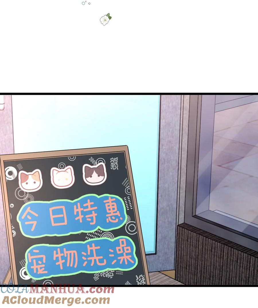 钟情 14 加西亚公爵 第37页