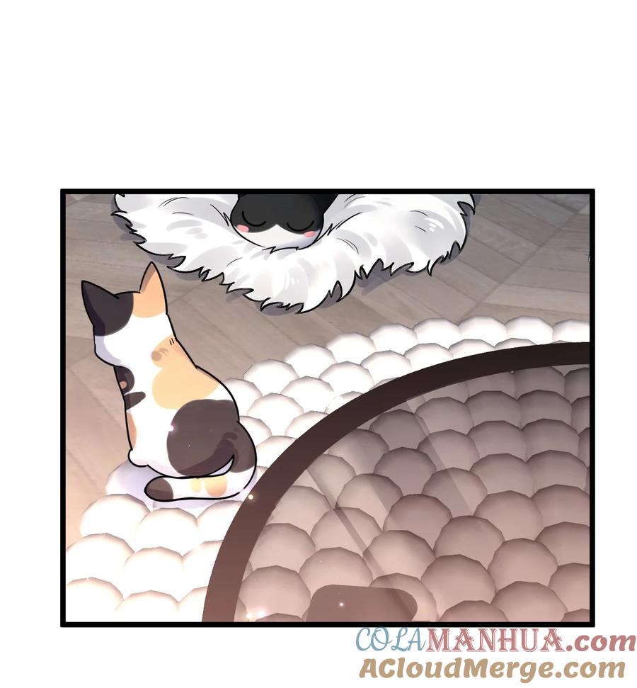 钟情 15 来逗他玩儿 第35页