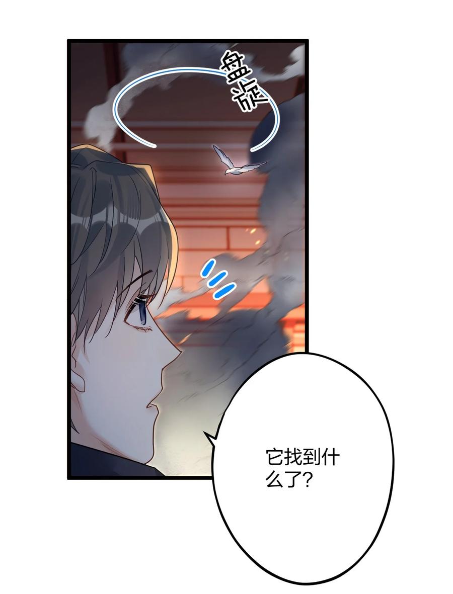 钟情 24 选择题 第33页