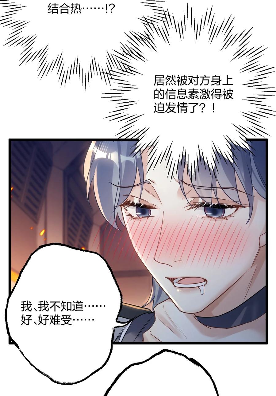 钟情 24 选择题 第20页